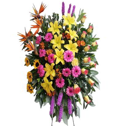 Arreglos Empresariales 21