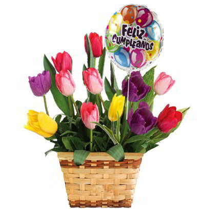Canasta 12 Tulipanes 08