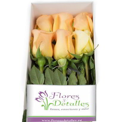 Caja 6 Rosas Melones