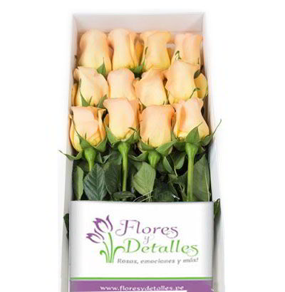Caja 12 Rosas Melones