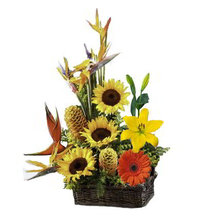 Arreglos Empresariales 01