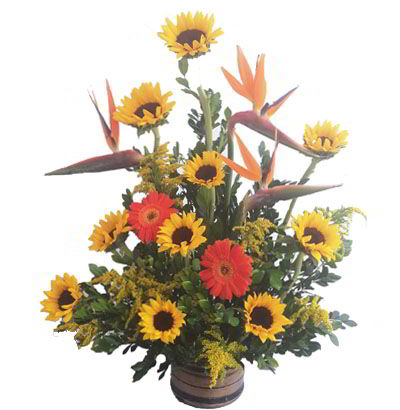 Arreglos Empresariales 11