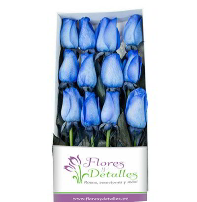 Caja 12 Rosas Azul