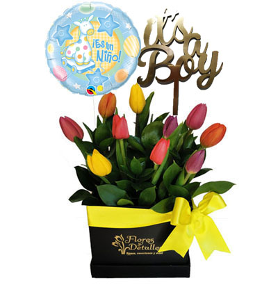 Arreglos para Niño 06