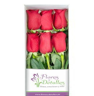 Caja 6 Rosas Rojas