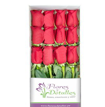 Caja 12 Rosas Rojas